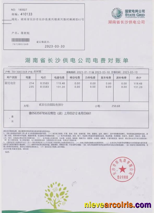 CHINA STATE POWER GRID utility bill